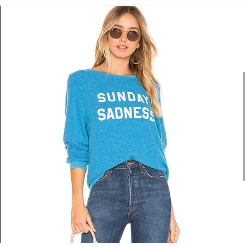 Wildfox XS Sunday Sadness blue sweatshirt